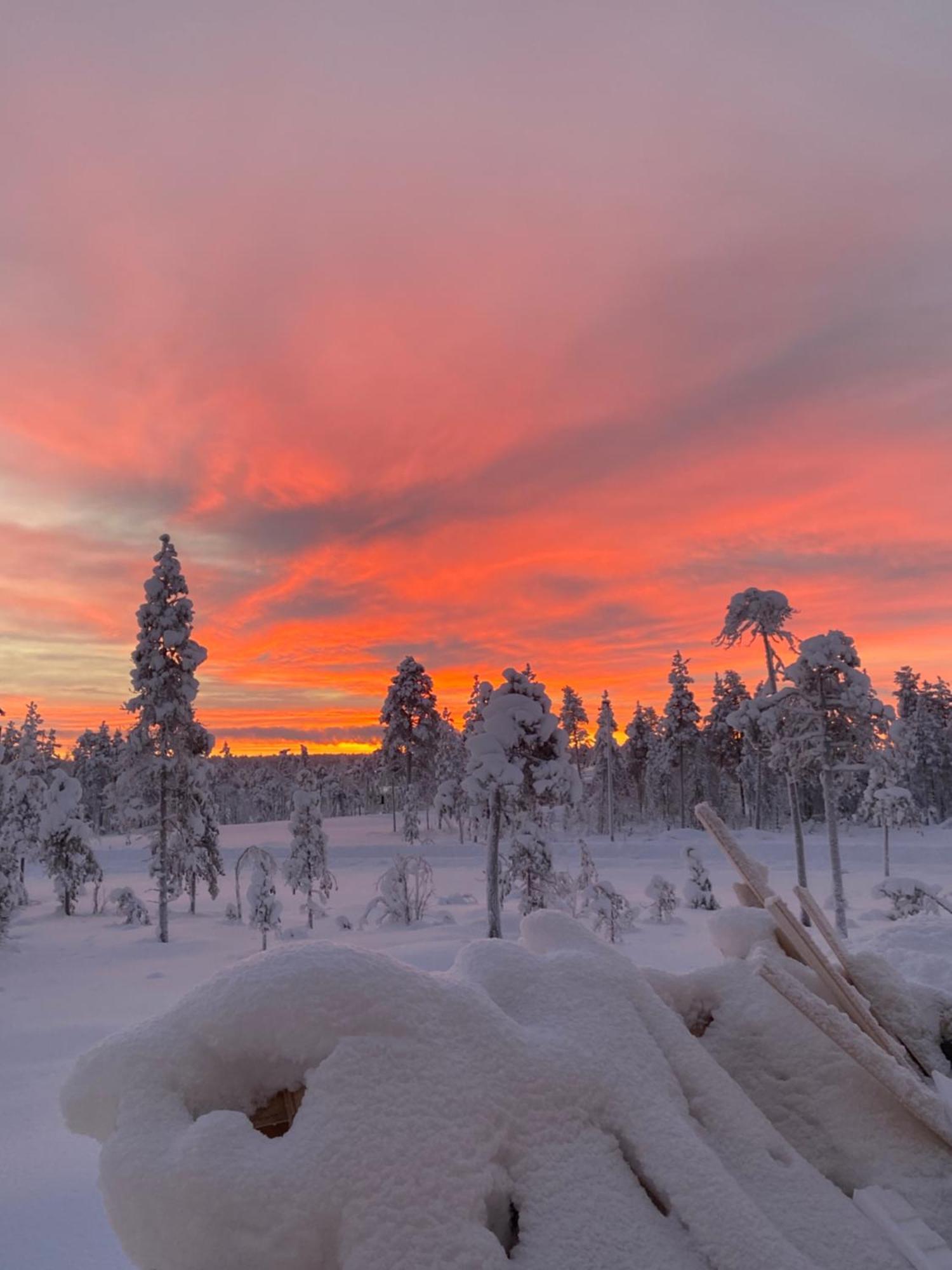 Arctic Moon Villa Rovaniemi Buitenkant foto